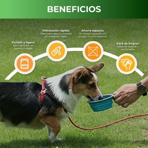 Comedero Plegable Silicona Perro X2